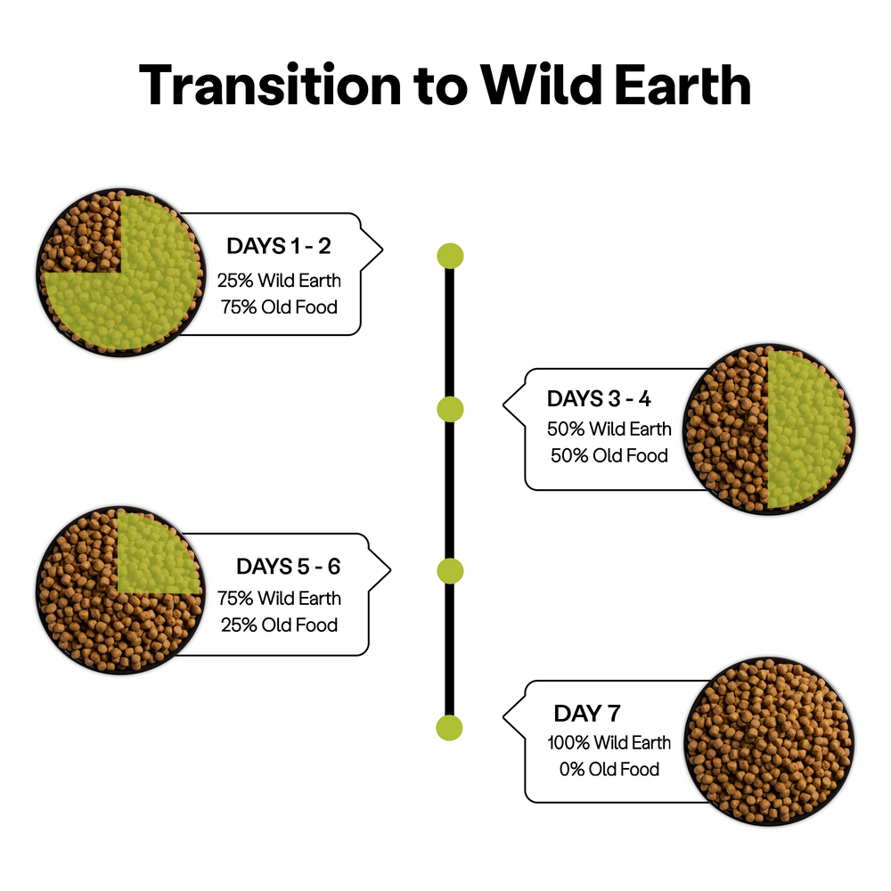 Guidelines for transitioning to Wild Earth plant-based pet food. 