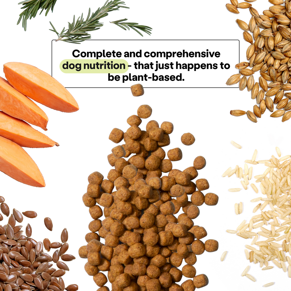 Wild Earth plant-based dog kibble surrounded with fruits and grains. 